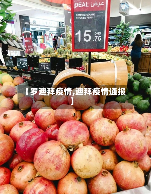 【罗迪拜疫情,迪拜疫情通报】