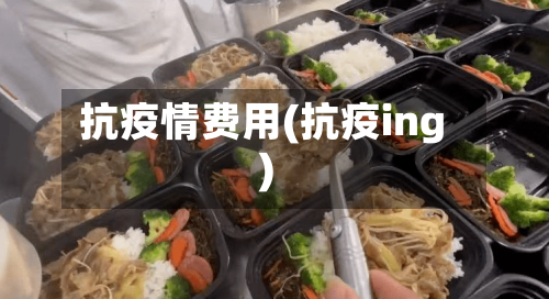 抗疫情费用(抗疫ing)-第2张图片