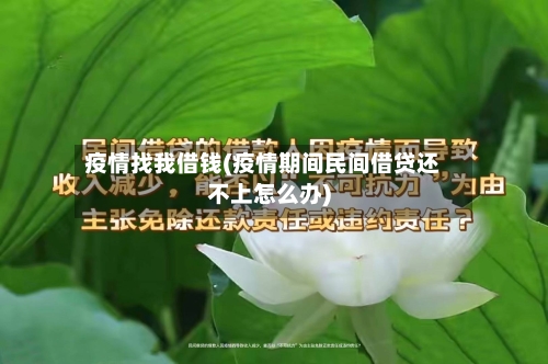 疫情找我借钱(疫情期间民间借贷还不上怎么办)