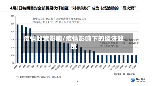 疫情政策影响/疫情影响下的经济政策