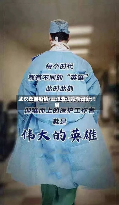 武汉查询疫情/武汉查询疫情最新消息-第3张图片