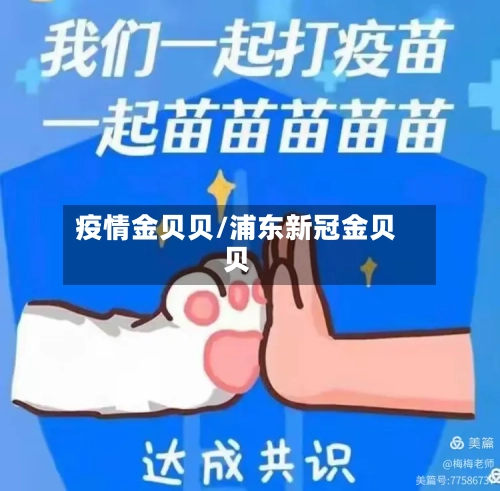 疫情金贝贝/浦东新冠金贝贝