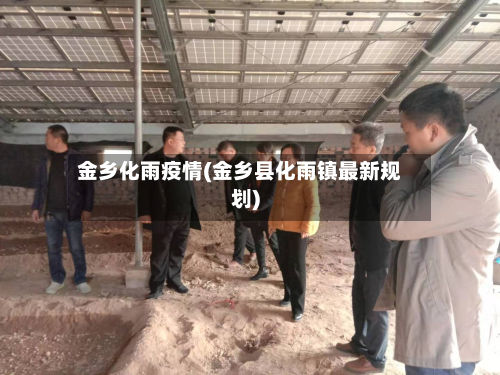 金乡化雨疫情(金乡县化雨镇最新规划)