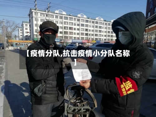 【疫情分队,抗击疫情小分队名称】-第2张图片