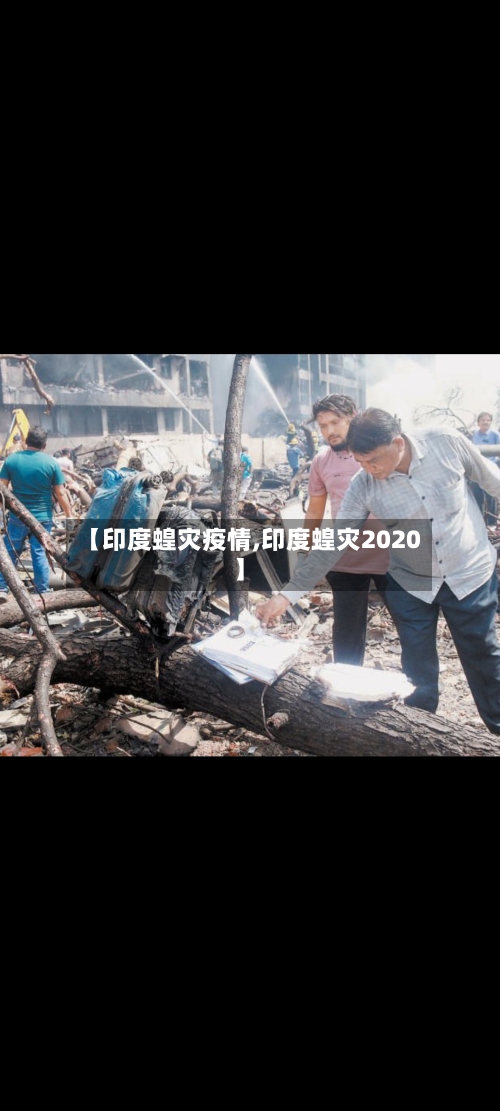 【印度蝗灾疫情,印度蝗灾2020】-第2张图片