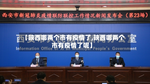 【陕西哪两个市有疫情了,陕西哪两个市有疫情了呢】