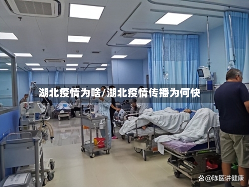 湖北疫情为啥/湖北疫情传播为何快