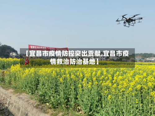 【宜昌市疫情防控突出贡献,宜昌市疫情救治防治基地】