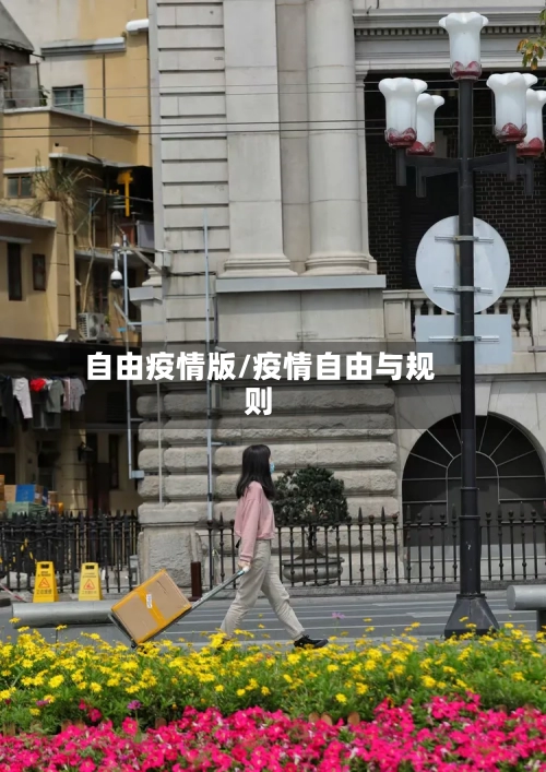 自由疫情版/疫情自由与规则