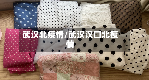 武汉北疫情/武汉汉口北疫情-第2张图片