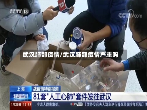 武汉肺部疫情/武汉肺部疫情严重吗-第2张图片