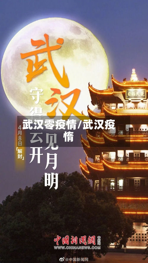 武汉零疫情/武汉疫惰