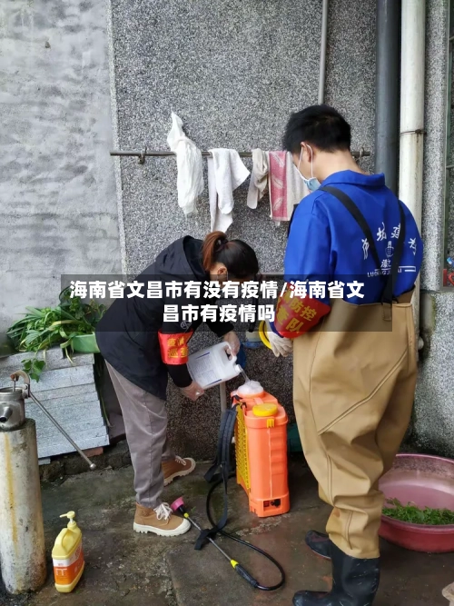 海南省文昌市有没有疫情/海南省文昌市有疫情吗-第2张图片
