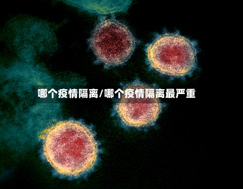 哪个疫情隔离/哪个疫情隔离最严重