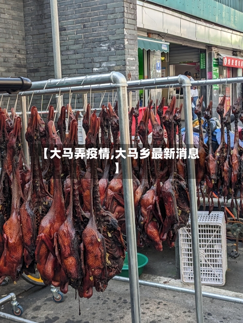 【大马弄疫情,大马乡最新消息】