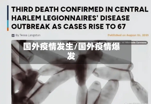 国外疫情发生/国外疫情爆发