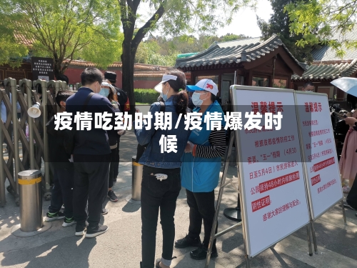 疫情吃劲时期/疫情爆发时候-第2张图片