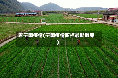 看宁国疫情(宁国疫情防控最新政策)-第2张图片