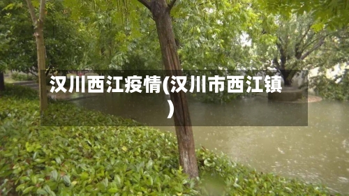 汉川西江疫情(汉川市西江镇)