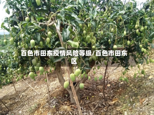 百色市田东疫情风险等级/百色市田东区-第3张图片