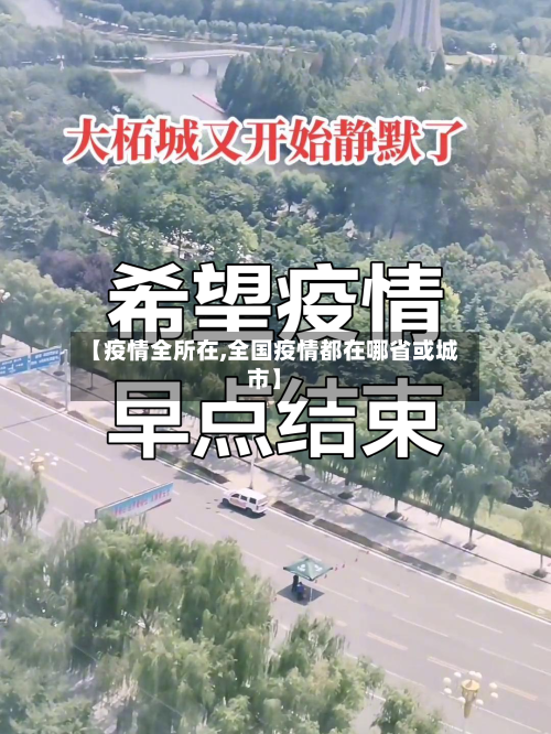 【疫情全所在,全国疫情都在哪省或城市】-第3张图片