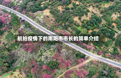 航拍疫情下的南阳市市长的简单介绍