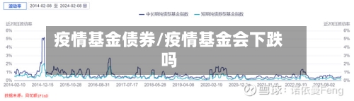 疫情基金债券/疫情基金会下跌吗-第3张图片