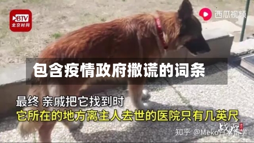 包含疫情政府撒谎的词条-第2张图片