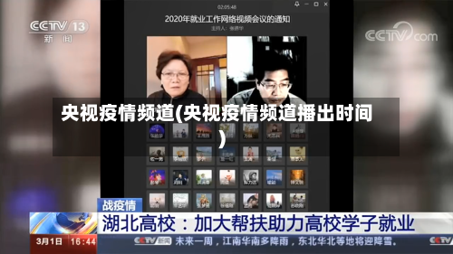 央视疫情频道(央视疫情频道播出时间)-第2张图片