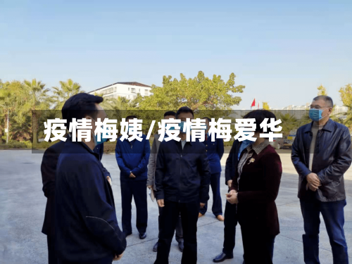 疫情梅姨/疫情梅爱华-第2张图片