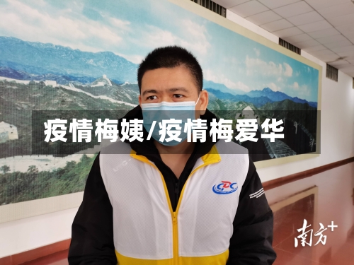 疫情梅姨/疫情梅爱华