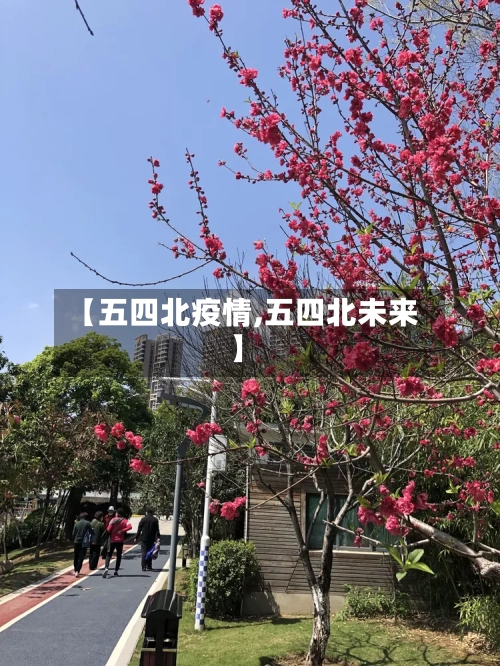 【五四北疫情,五四北未来】-第2张图片