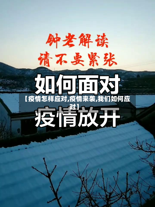 【疫情怎样应对,疫情来袭,我们如何应对】-第2张图片
