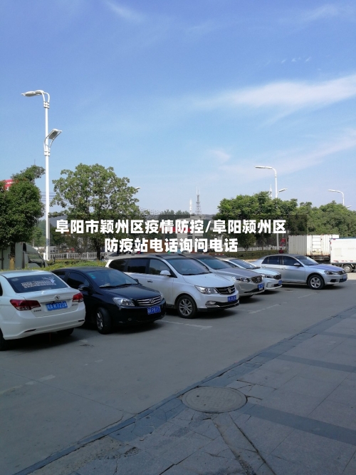 阜阳市颖州区疫情防控/阜阳颍州区防疫站电话询问电话