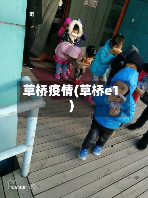 草桥疫情(草桥e1)