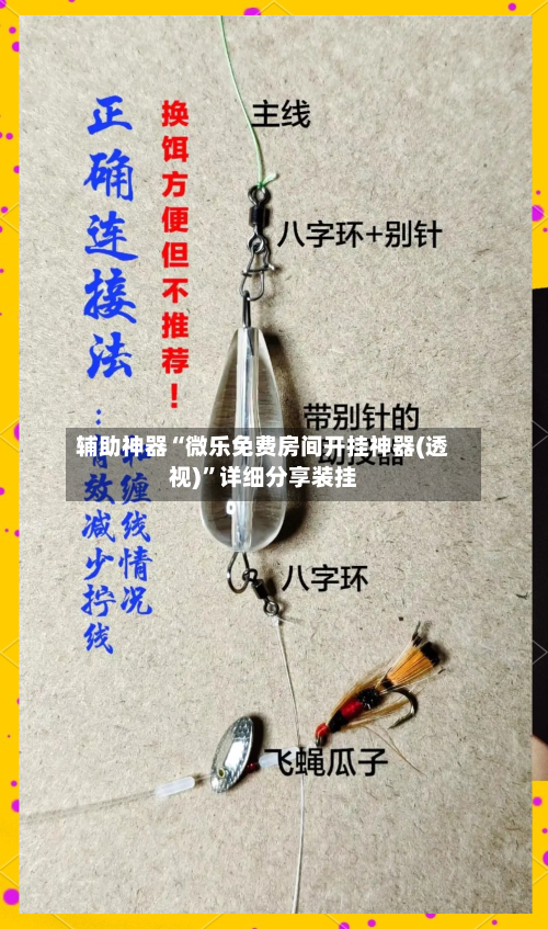 辅助神器“微乐免费房间开挂神器(透视)”详细分享装挂-第2张图片