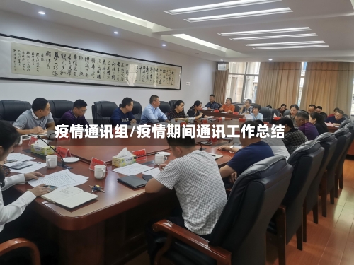 疫情通讯组/疫情期间通讯工作总结