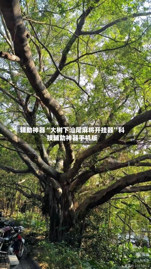 辅助神器“大树下汕尾麻将开挂器	”科技辅助神器手机版-第2张图片