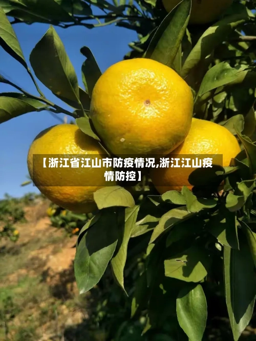 【浙江省江山市防疫情况,浙江江山疫情防控】