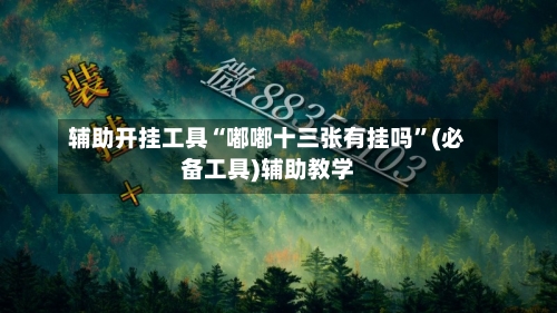 辅助开挂工具“嘟嘟十三张有挂吗”(必备工具)辅助教学-第3张图片