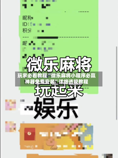 玩家必看教程“微乐麻将小程序必赢神器免费安装”详细透视教程-第2张图片