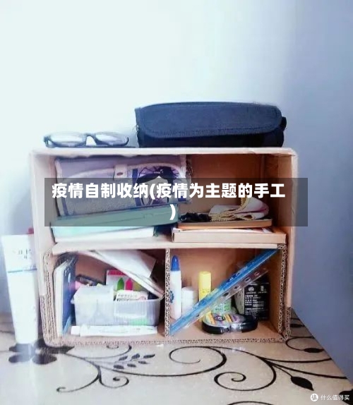 疫情自制收纳(疫情为主题的手工)
