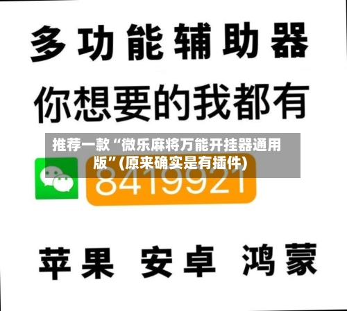 推荐一款“微乐麻将万能开挂器通用版”(原来确实是有插件)-第3张图片