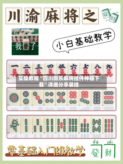 实操教程“四川微乐麻将挂件神器下载”详细分享装挂-第3张图片