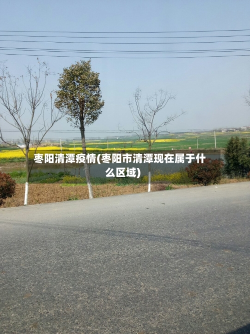 枣阳清潭疫情(枣阳市清潭现在属于什么区域)-第2张图片