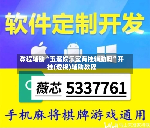 教程辅助“玉溪娱乐室有挂辅助吗	”开挂(透视)辅助教程-第2张图片