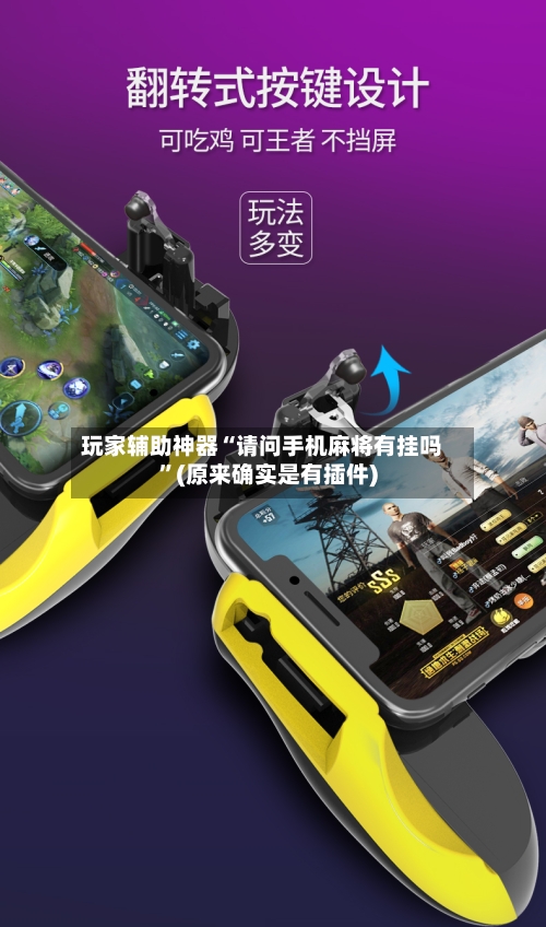 玩家辅助神器“请问手机麻将有挂吗”(原来确实是有插件)-第2张图片