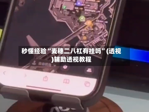 秒懂经验“麦穗二八杠有挂吗”(透视)辅助透视教程