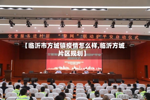 【临沂市方城镇疫情怎么样,临沂方城片区规划】