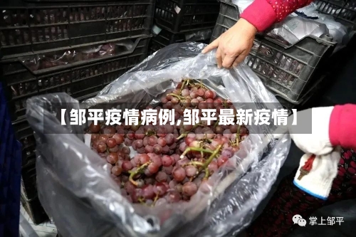 【邹平疫情病例,邹平最新疫情】